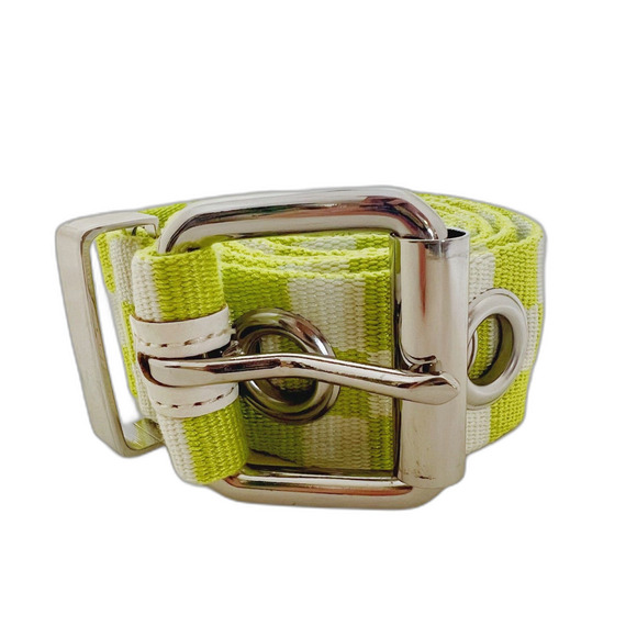 NWOT Urban Outfitters UO Green Checker Print Belt Women's Size M - Picture 1 of 4